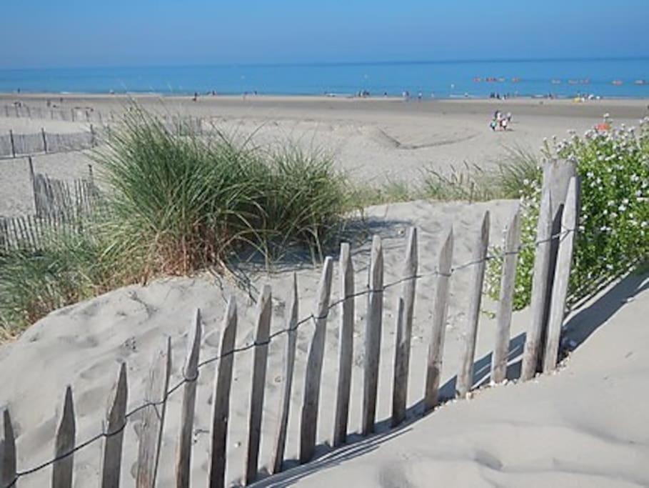 Logement A Deux Pas De La Plage Et Des Commerces Ле-Трепор Екстер'єр фото